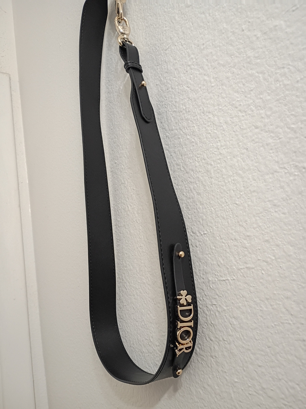 FASHION STRAP~BAG☘️